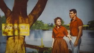 The Louisiana Hussy's poster