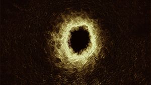 Sleep Has Her House's poster