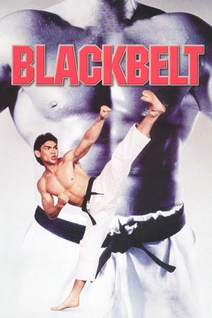 Blackbelt's poster