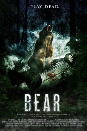 Bear's poster