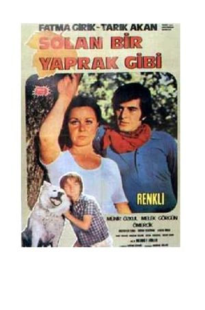 Solan Bir Yaprak Gibi's poster