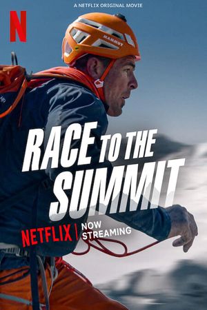 Race to the Summit's poster