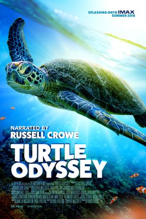 Turtle Odyssey's poster