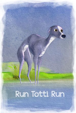 Run Totti Run's poster