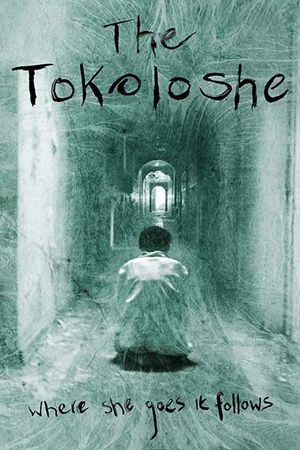 The Tokoloshe's poster