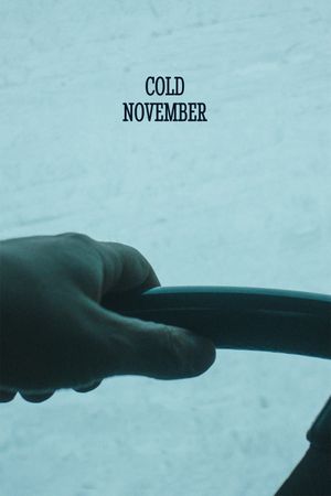 Cold November's poster
