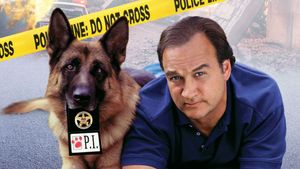 K-9: P.I.'s poster