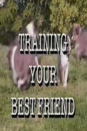 Training Your Best Friend's poster