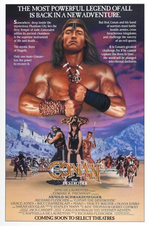 Conan the Destroyer's poster