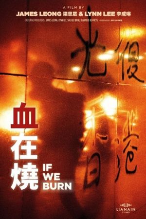 If We Burn's poster