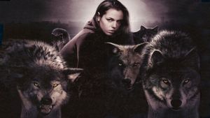 Blood and Chocolate's poster