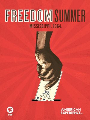Freedom Summer's poster