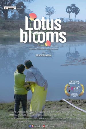 Lotus Blooms's poster