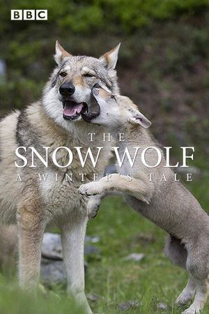 The Snow Wolf: A Winter's Tale's poster