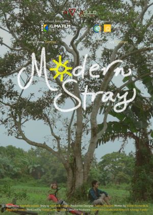 Modern Stray's poster