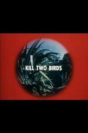 Kill Two Birds's poster