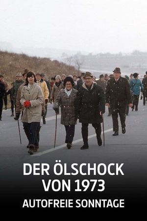 Der Ölschock von 1973 - Autofreie Sonntage's poster