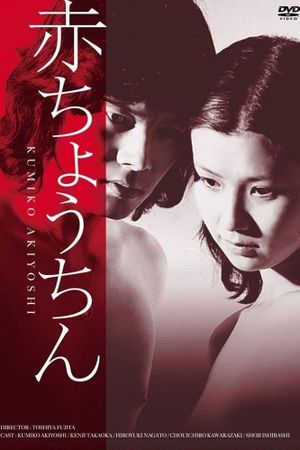Red Paper Lanterns's poster