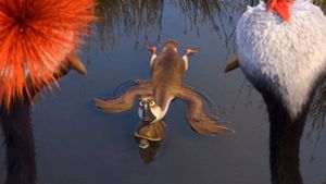 Duck Duck Goose's poster