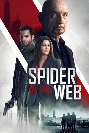 Spider in the Web's poster