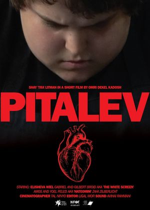 Pitalev's poster