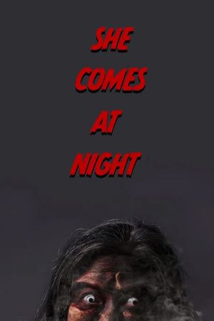 She Comes at Night's poster image