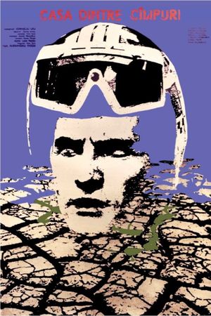 The House Between the Fields's poster