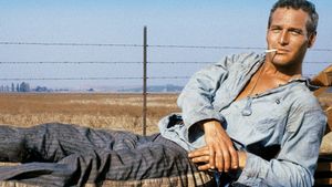 Cool Hand Luke's poster