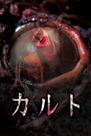 Cult's poster