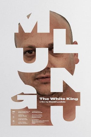 Mlungu - The White King's poster