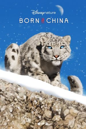 Born in China's poster