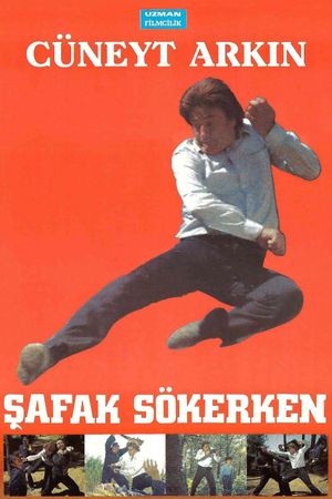 Safak Sökerken's poster