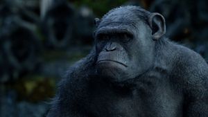 Dawn of the Planet of the Apes's poster