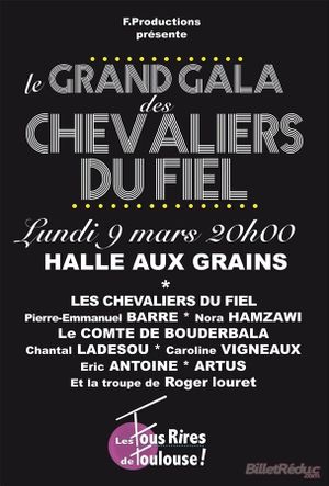 Le grand gala des Chevaliers du Fiel's poster