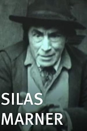 Silas Marner's poster