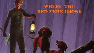 Where the Red Fern Grows's poster