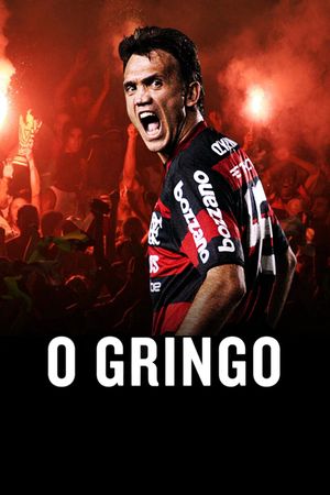 O Gringo's poster