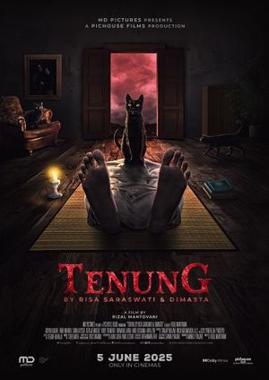 Tenung by Risa Saraswati and Dimasta's poster