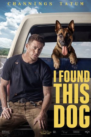 Dog's poster