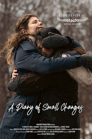 A Diary of Small Changes's poster