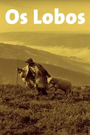 Os Lobos's poster