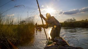 Into the Okavango's poster