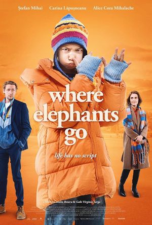 Where Elephants Go's poster