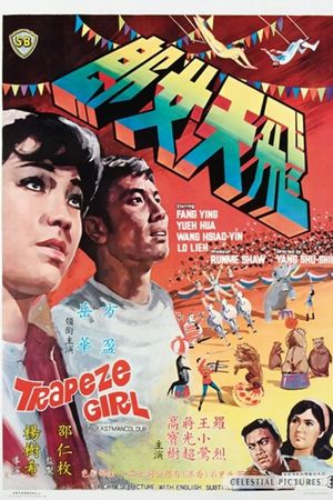 Fei tian nu lang's poster