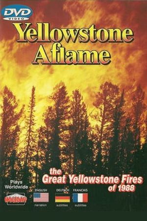 Yellowstone Aflame's poster