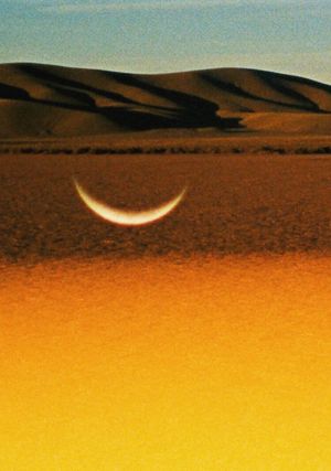 Altiplano's poster