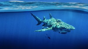 Sky Sharks's poster