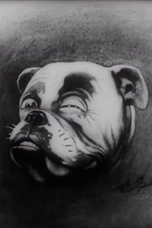 Studdy's War Cartoons's poster