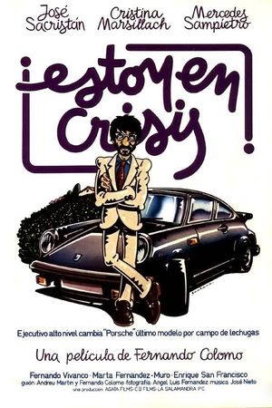 Estoy en crisis's poster