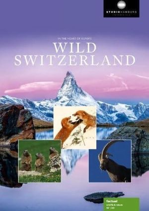 Wilde Schweiz's poster